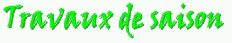 19.01.07 LA TEMP�TE DU.. Soci�t� - Education, Ecoles - 